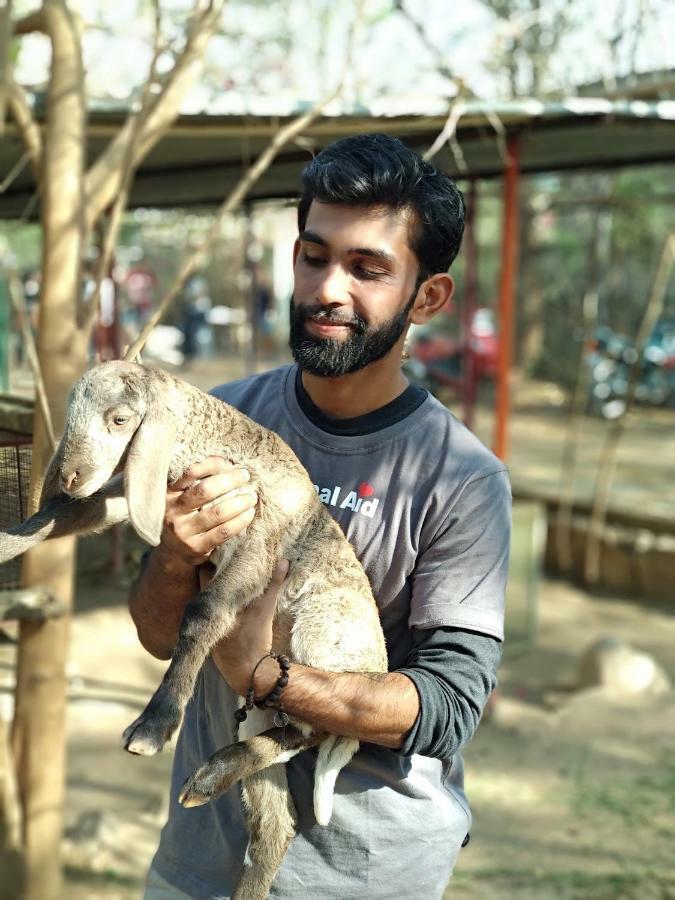 Gypsy Child Lake Hostel Udajpur Exteriér fotografie